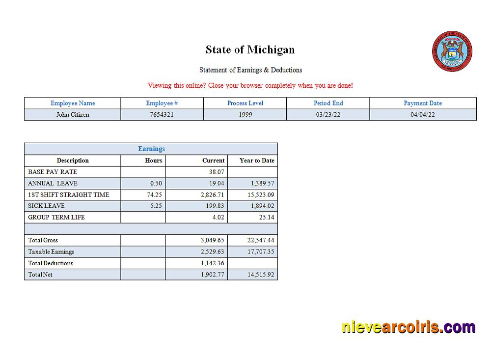 USA State of Michigan social services company pay stub